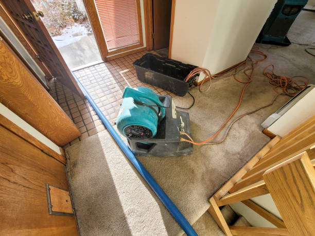 Best 24-hour water damage restoration  in Columbia, MO