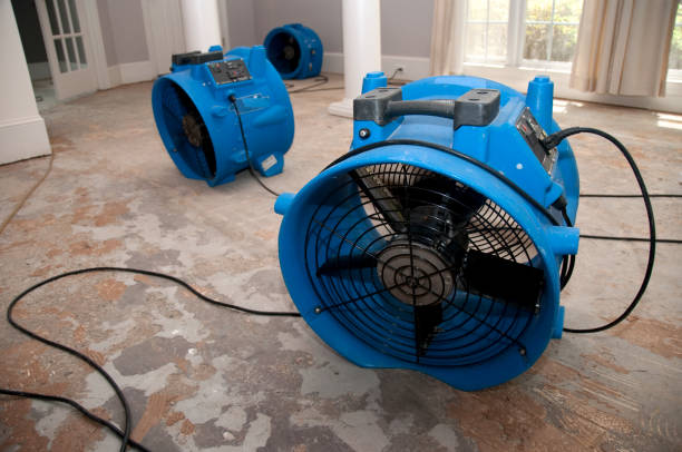 Best Water damage restoration services  in Columbia, MO