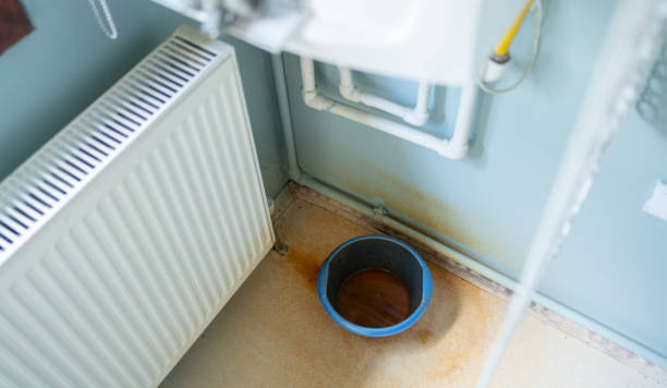 Best Basement water damage restoration  in Columbia, MO