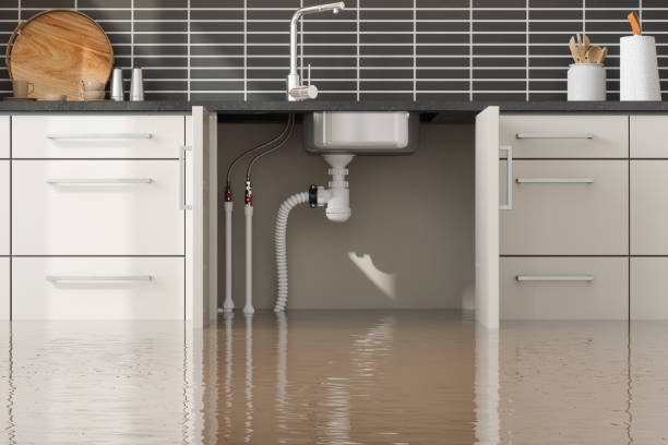 Best Sewage cleanup and water damage restoration  in Columbia, MO